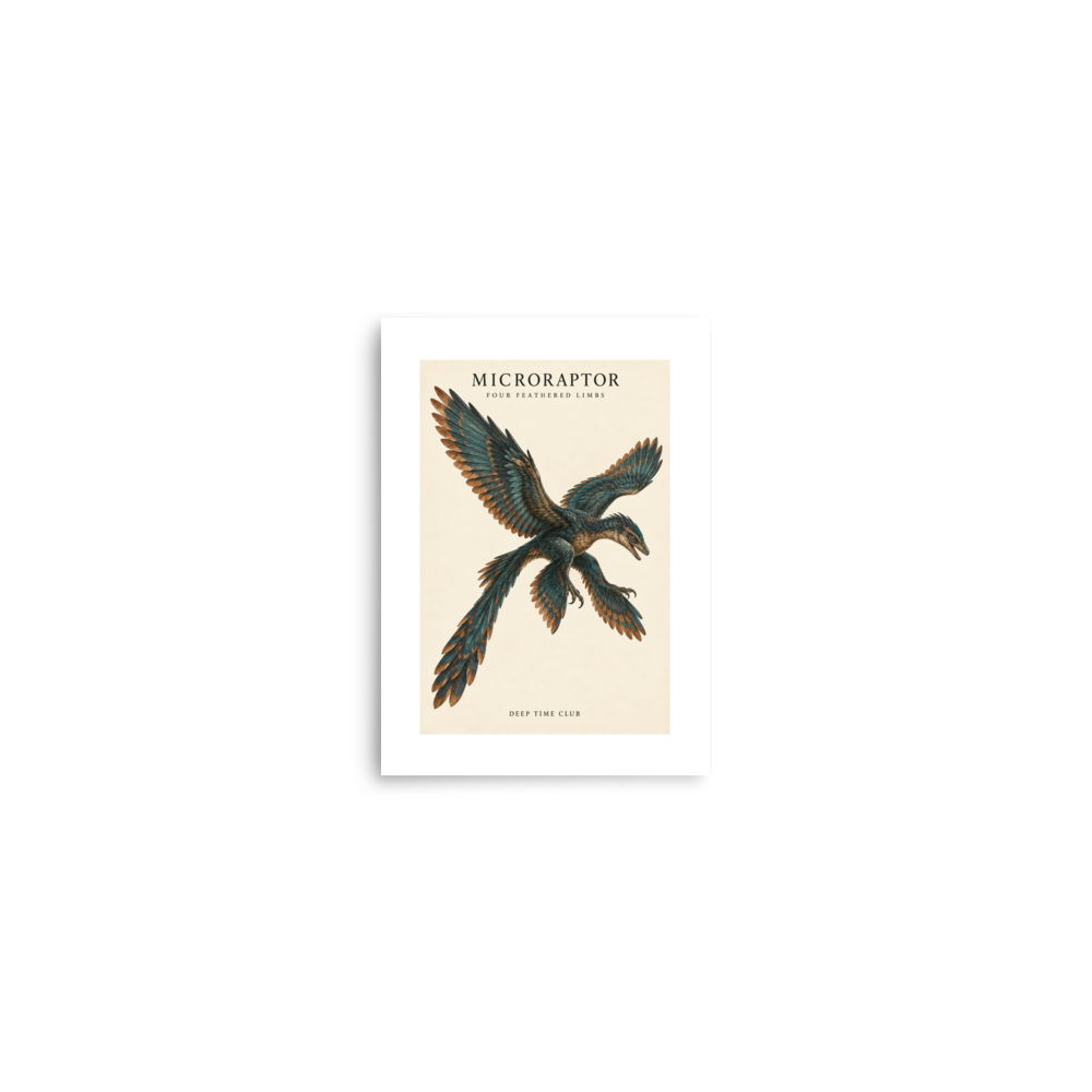 Microraptor Four-Wing Field Print supplier-rendered front view in Matte white paper