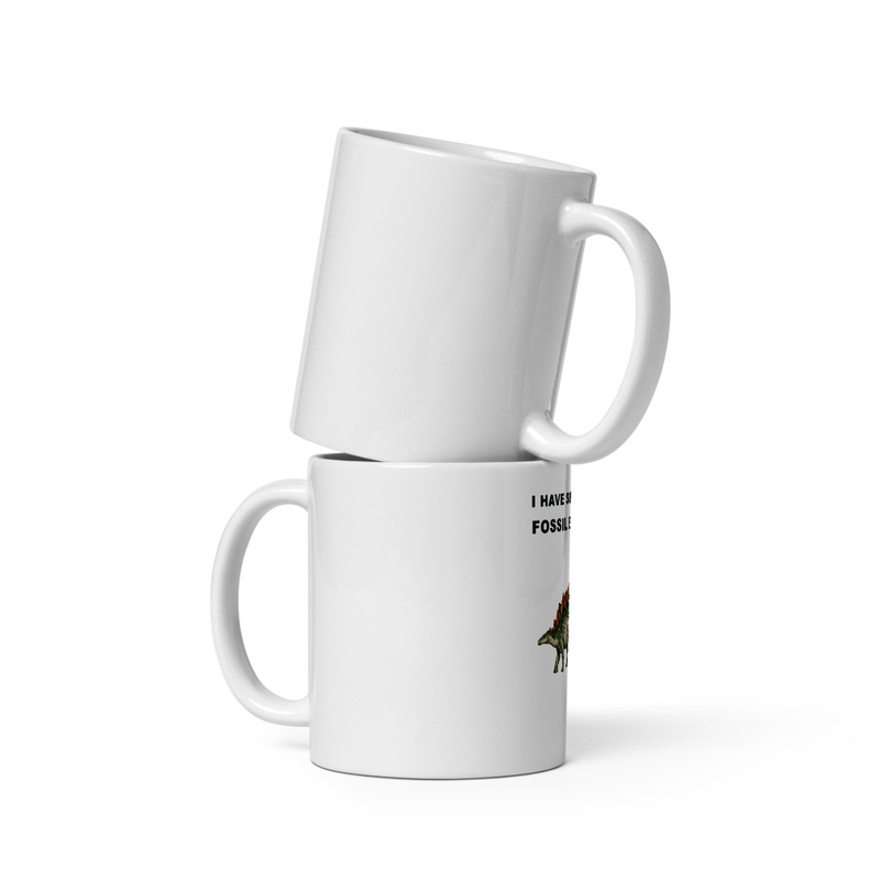 Model showing Supporting Fossil Evidence Dinosaur Mug